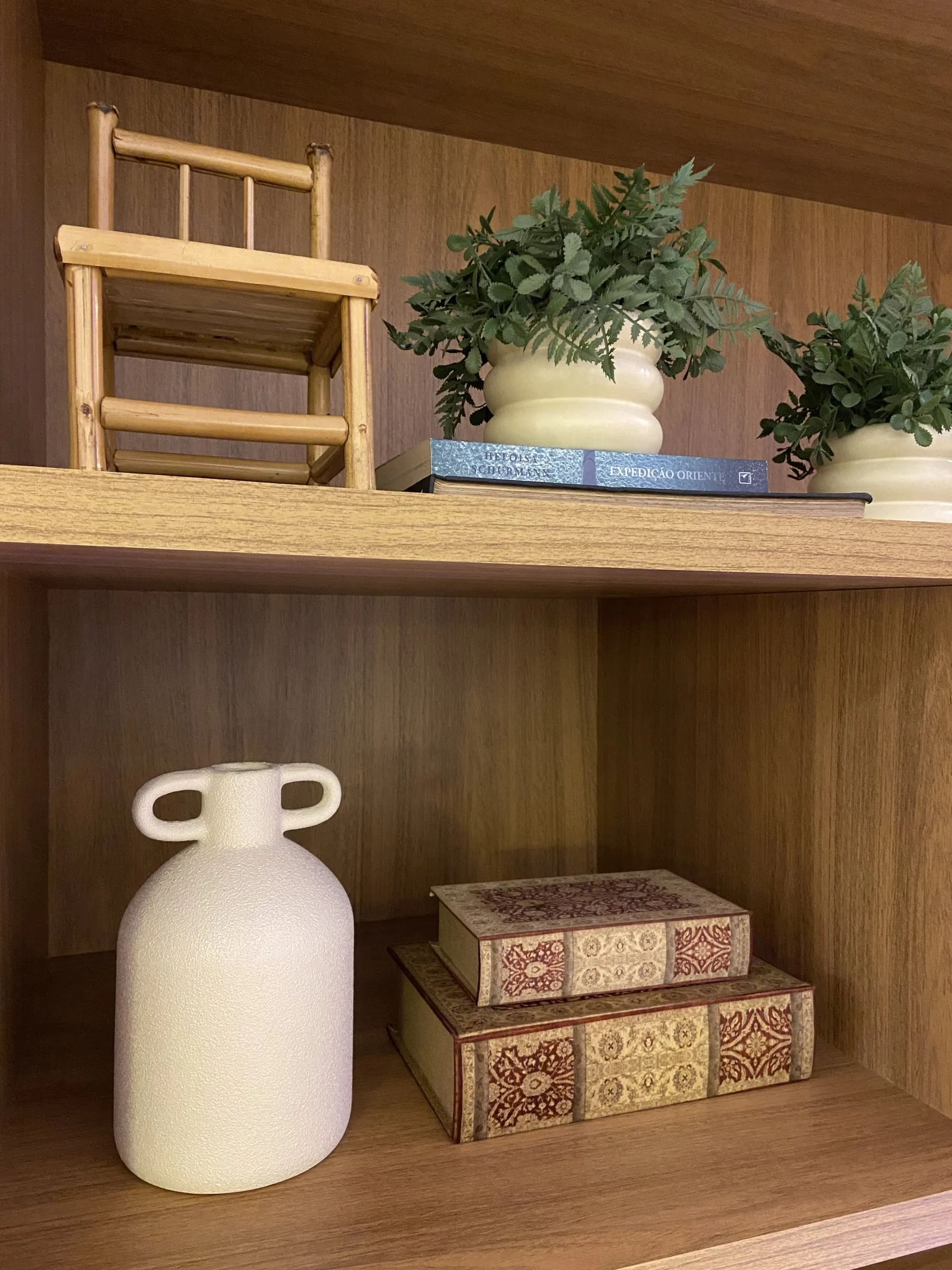 Estante em madeira com jarra branca, livros antigos e vasos de plantas